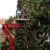 Perkasie Tree Services by GF Amador Tree Services & Complete landscaping LLC